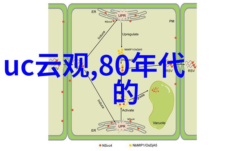 时空之脉元朝的无垠辉煌