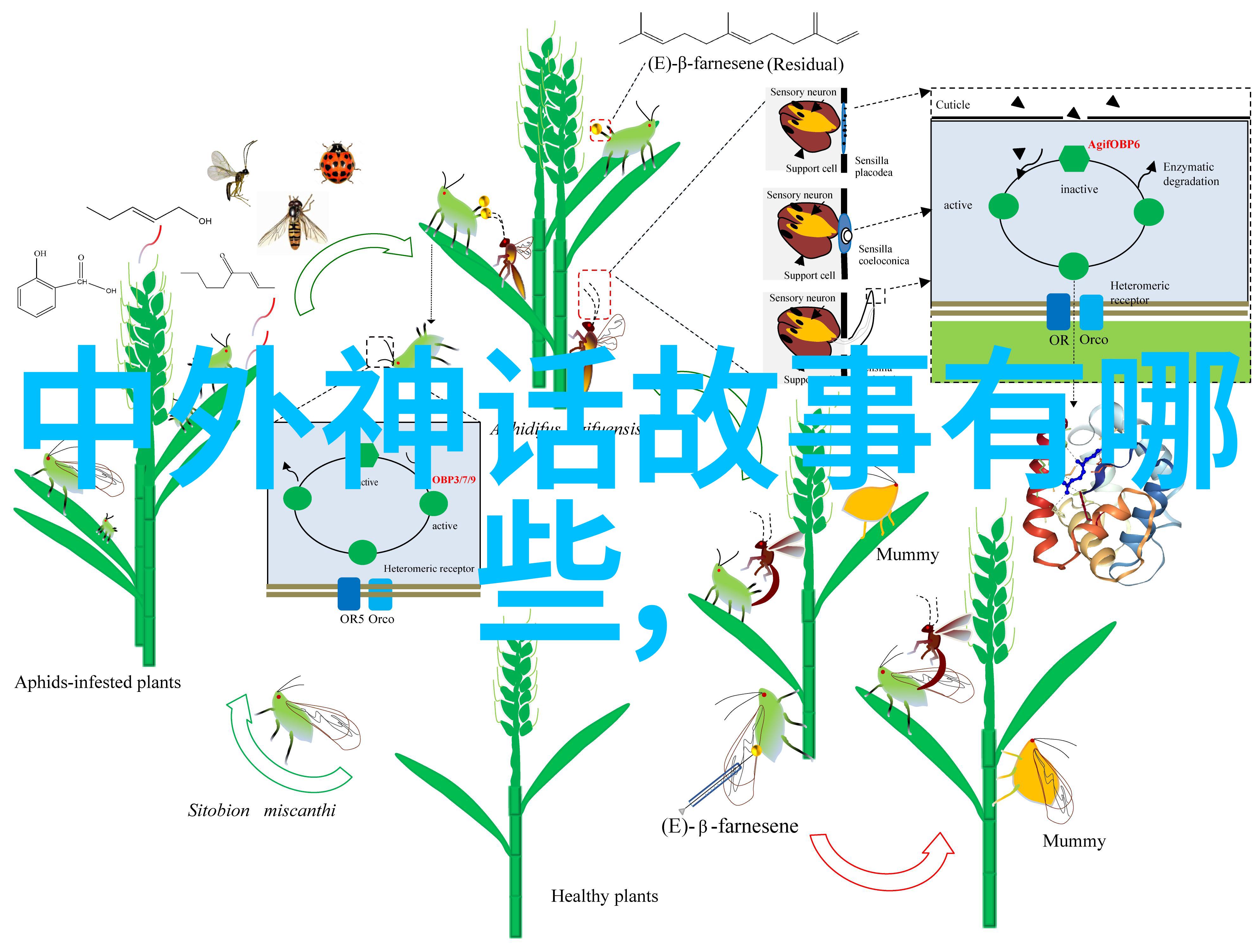 明朝的辉煌帝国之巅的故事