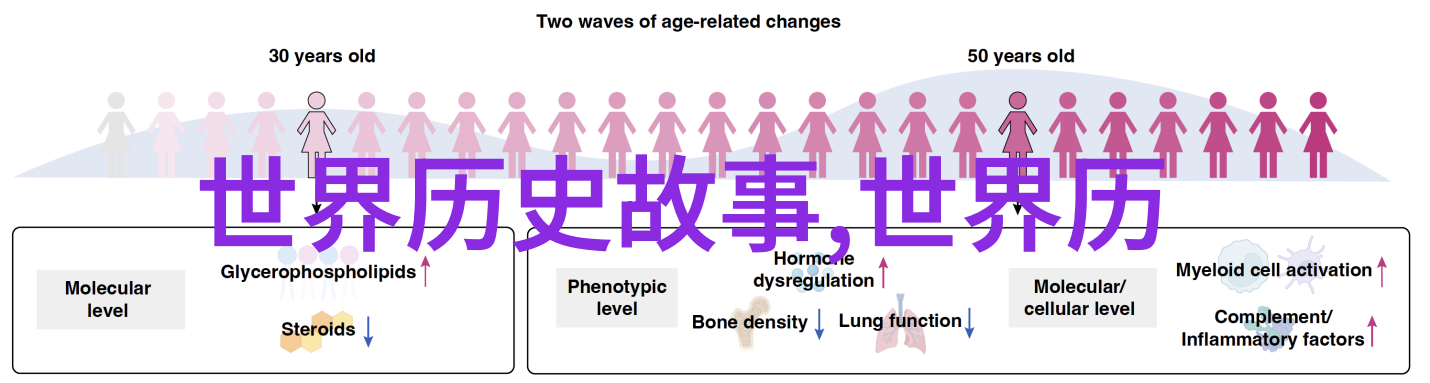 21世纪野史尘封的秘密与变革的足迹