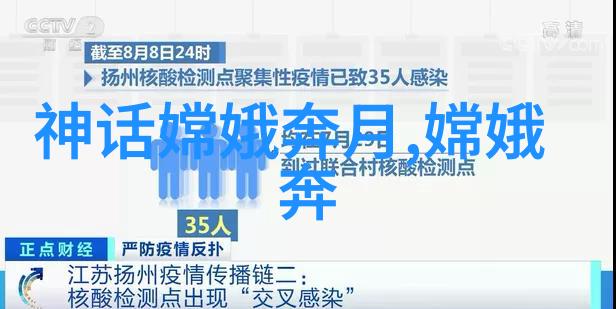 神秘失踪案件深夜迷雾中的无声消逝