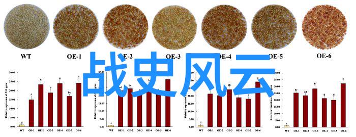 性别角色和权力斗争从盤古殺媛 娠 看中国传统文化内涵