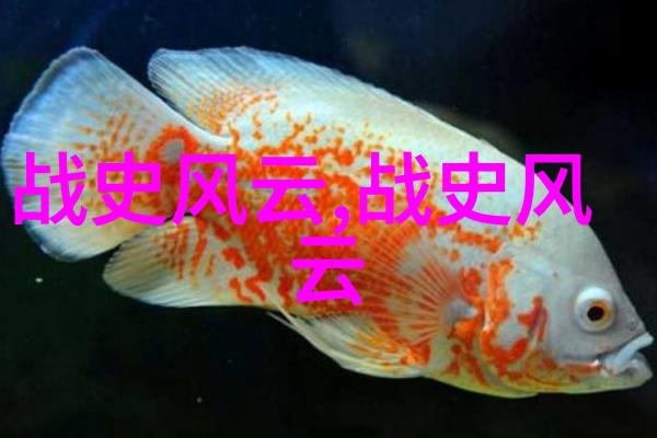 从豪华游艇上掉下来的海豚与街头小贩的意外交换