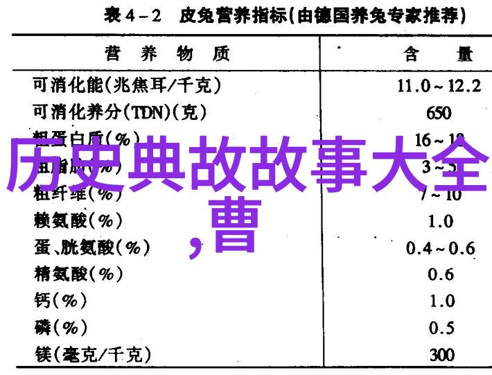 挥霍我是如何在大学里把每个周末都浪费掉的