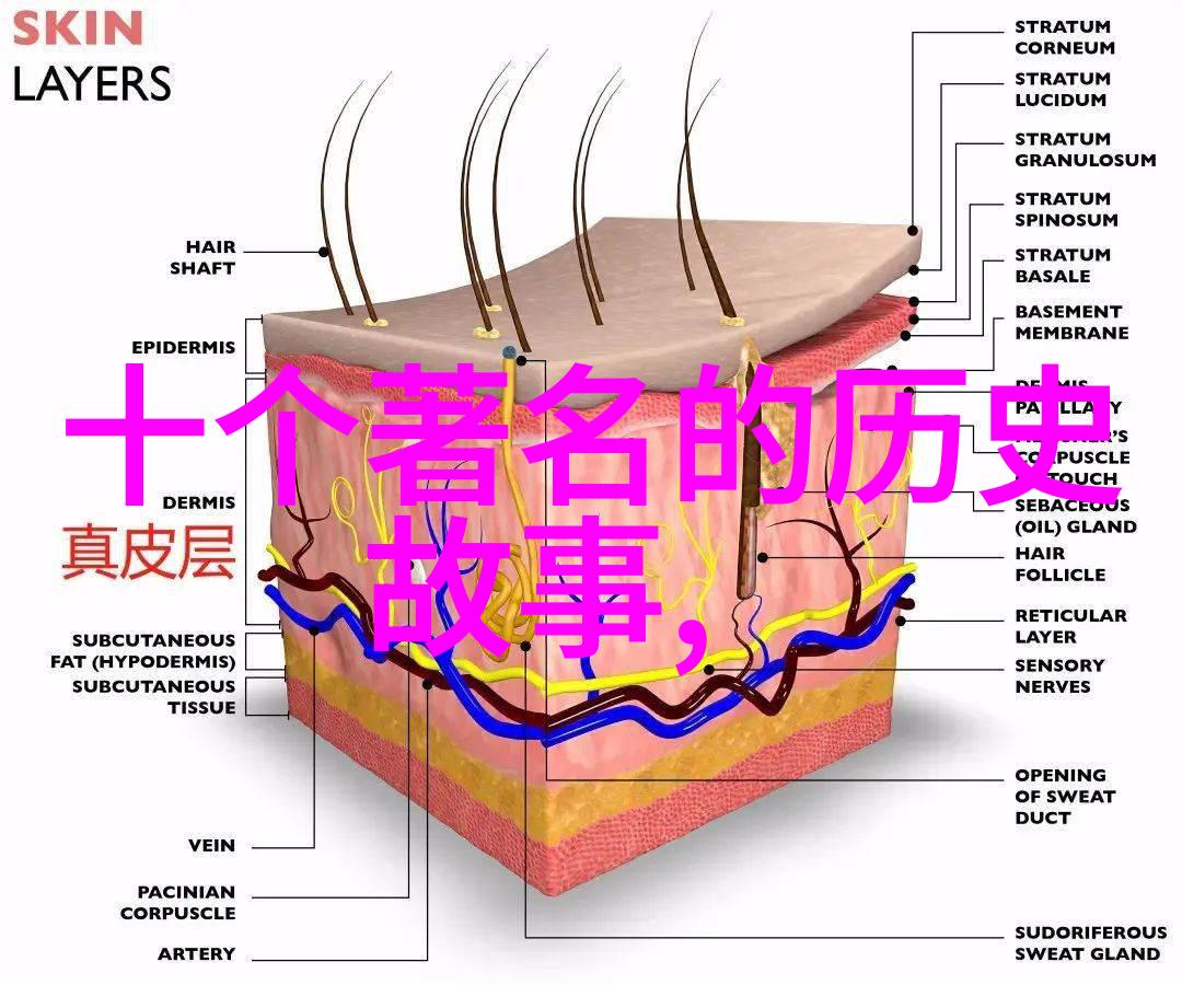 寻宝历险4年级小朋友在神话世界的冒险