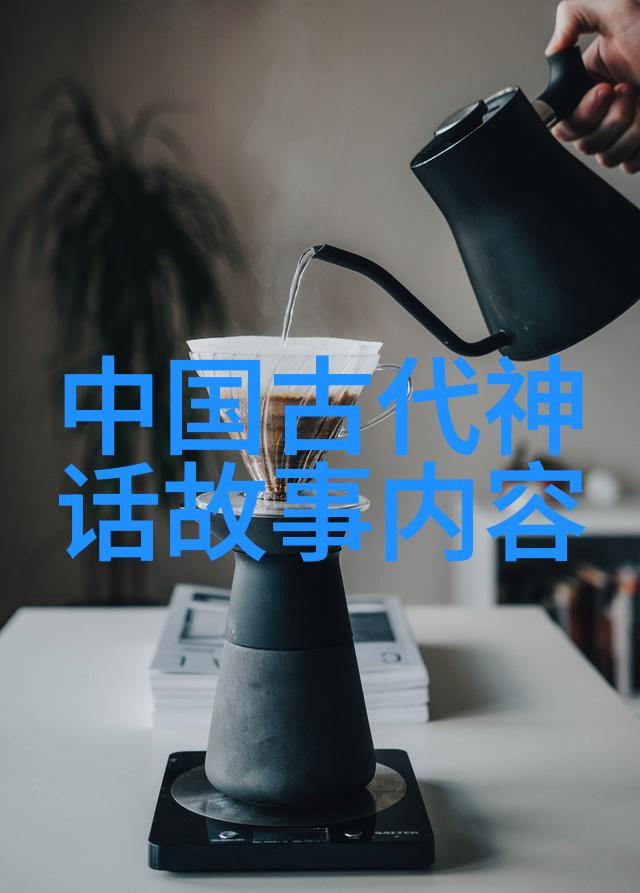 姐姐的朋友9在完整视频有翻译 - 揭秘影视世界追踪姐姐的朋友9的翻译奇迹