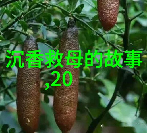 2021年中国首次发现神秘光环科学家们的惊叹与探索