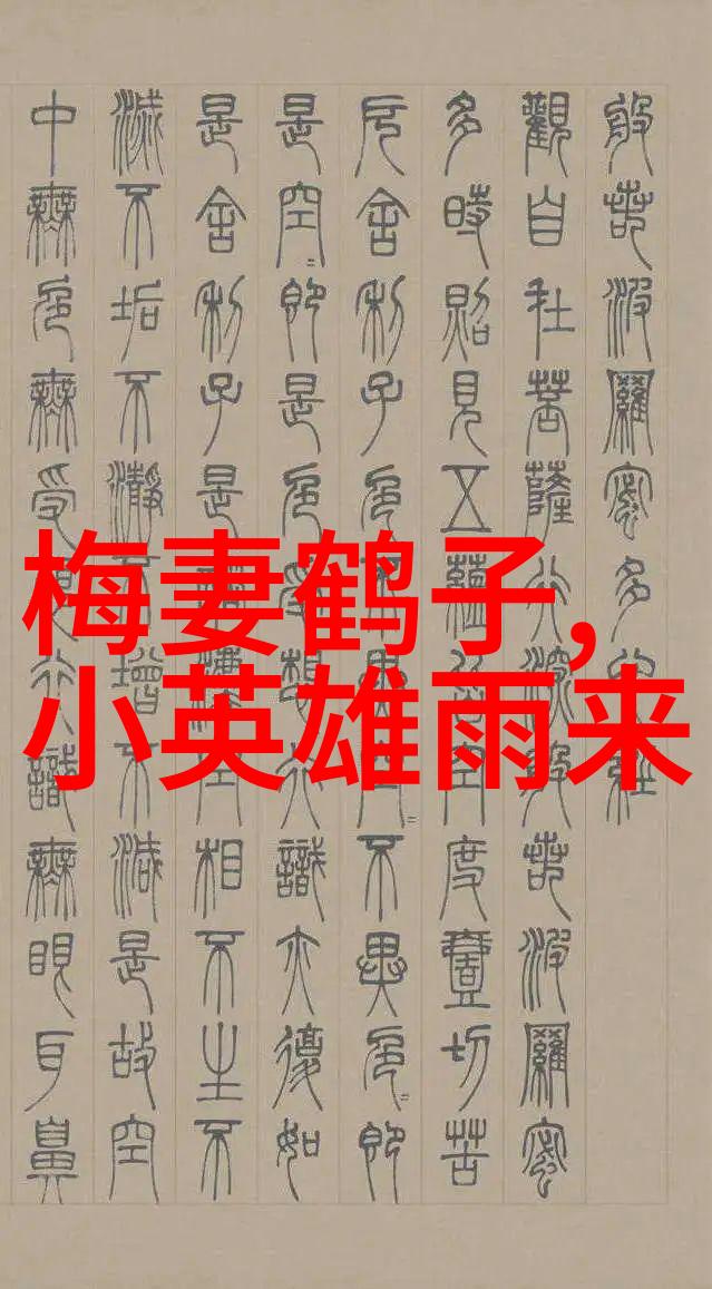 21世纪野史科技与社会的奇妙交响互联网时代的隐私丧失与网络安全的终极挑战