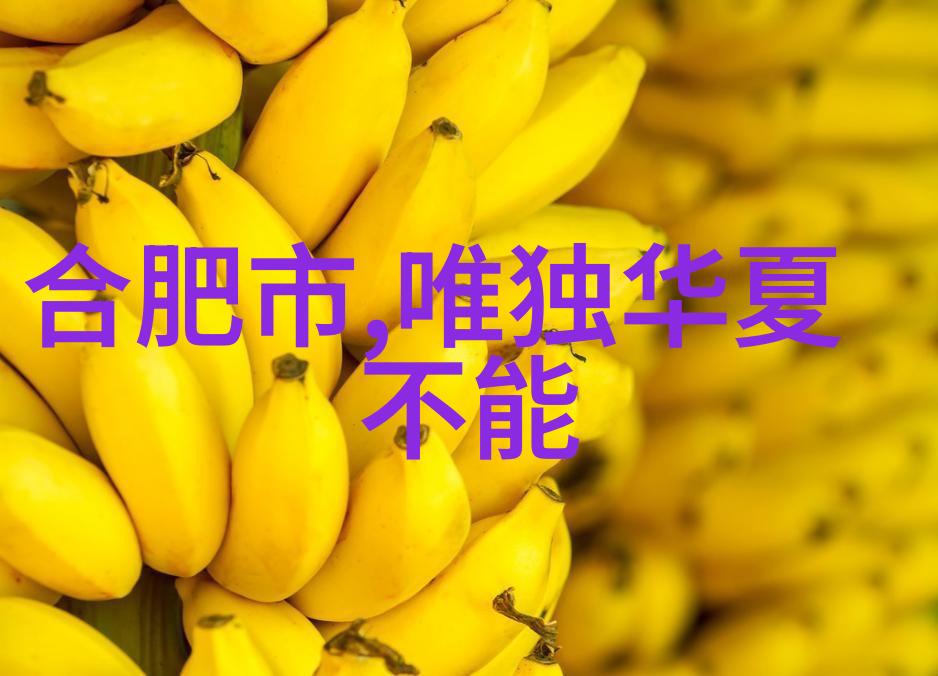 穿越千年古代皇帝的秘密宠物古代帝王与他们神秘宠物的故事