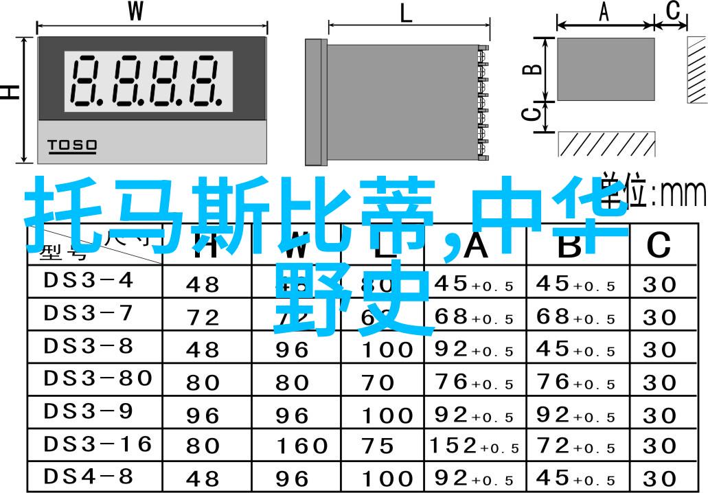 破案之神我凭智慧冠绝京华