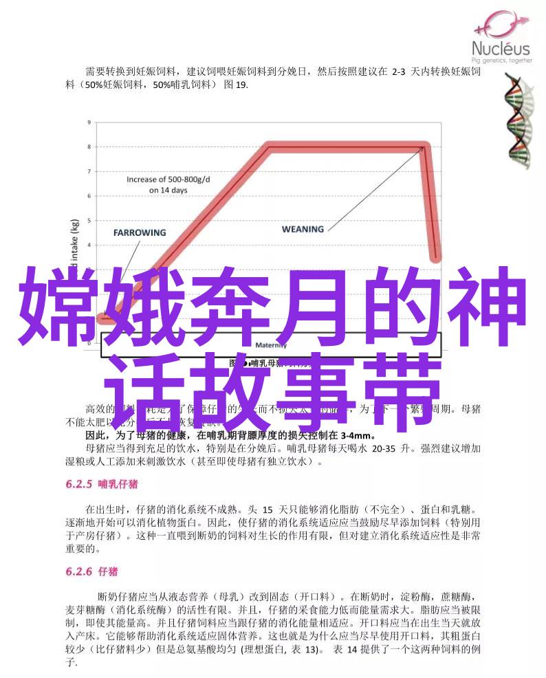 一千零一夜中的叙事技巧与跨文化传承研究