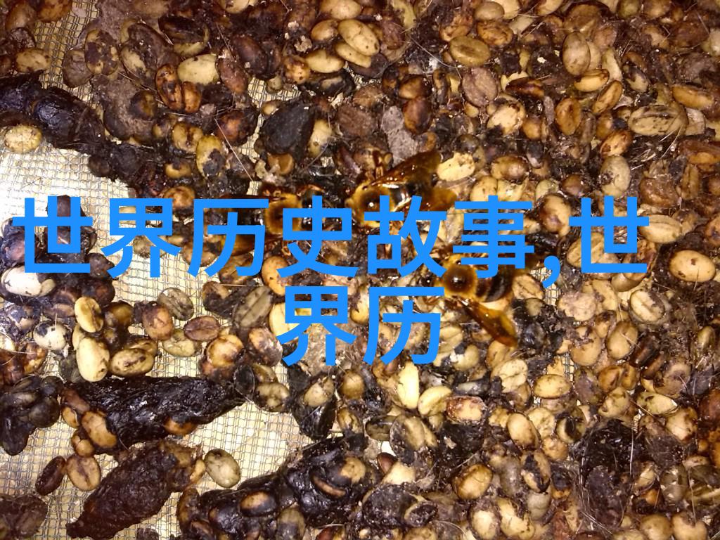 探秘历史时光专注于历史的移动应用程序