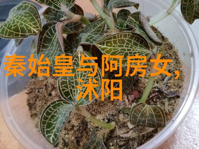 哪吒的故事背后古代民间传说与现代解读