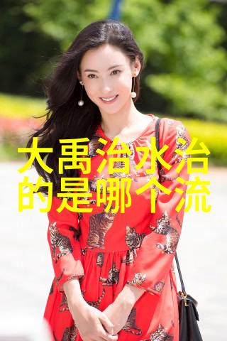 剖析唐朝诗人杜甫的政治观和社会关怀他如何用诗歌反映当时的社会现实