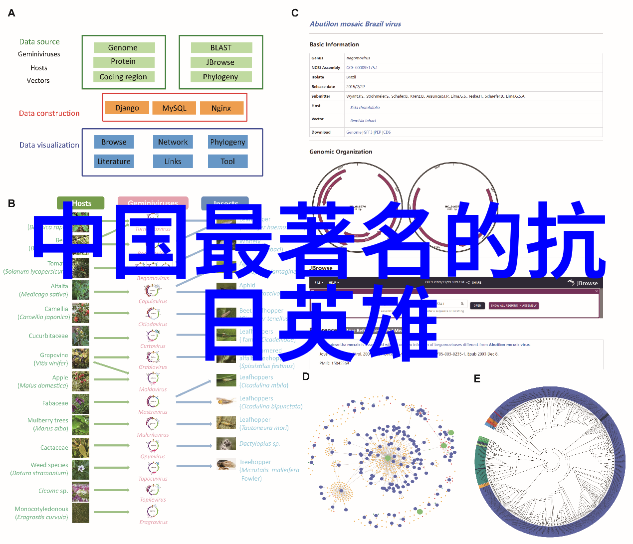 司马相如与卓文君古代爱情故事简介