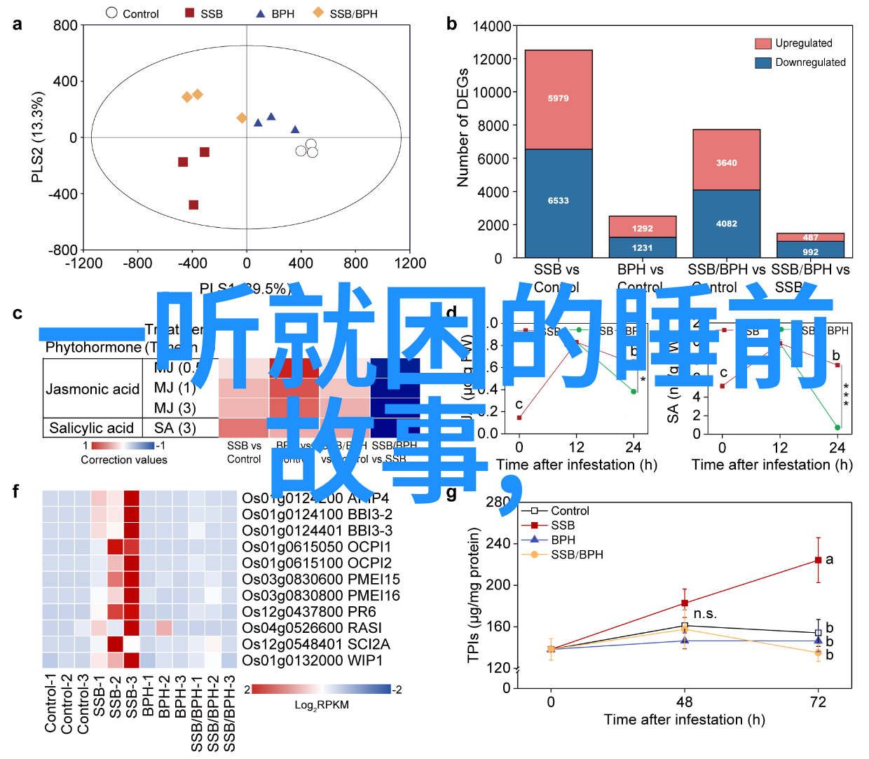 从龙椅到街头中国历史巨星的反差人生