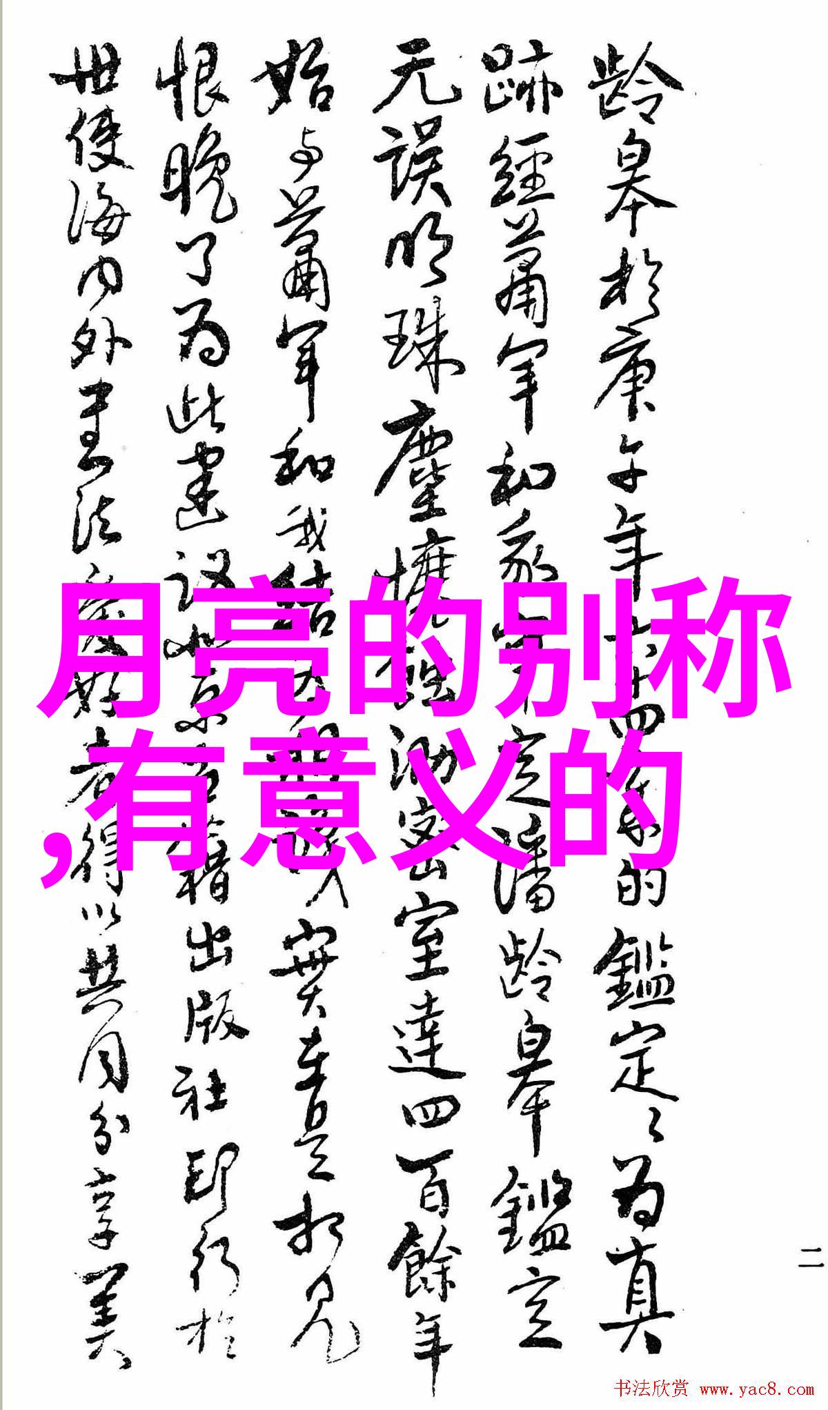 2023年新闻趣事猫咪当选市长引全球笑声狗狗竞选失败却成忠诚助手