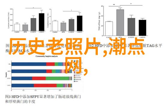 追溯那一天的恐怖时刻评估407事件造成的人员伤亡情况