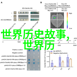 超自然现象与科学界的挑战揭晓100宗未解之缘