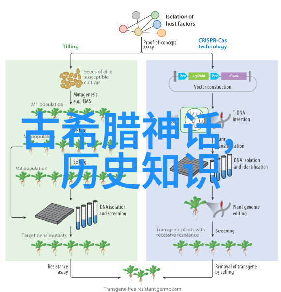 小熊与星空之旅二年级孩子们的魔法经历