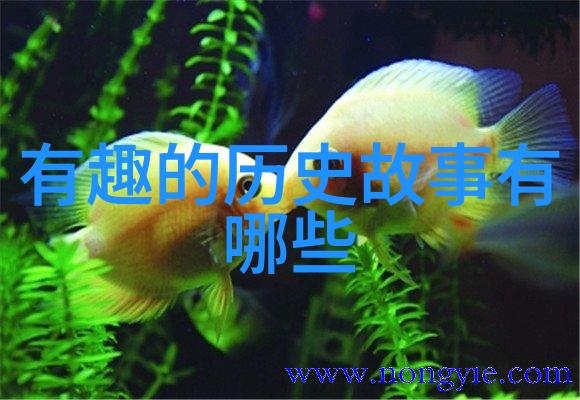 怪兽与仙女山海经中的幻想生物