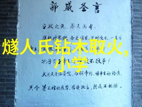 从傀儡到驾驭者探索在康熙朝后期怎样才能够玩出一手来