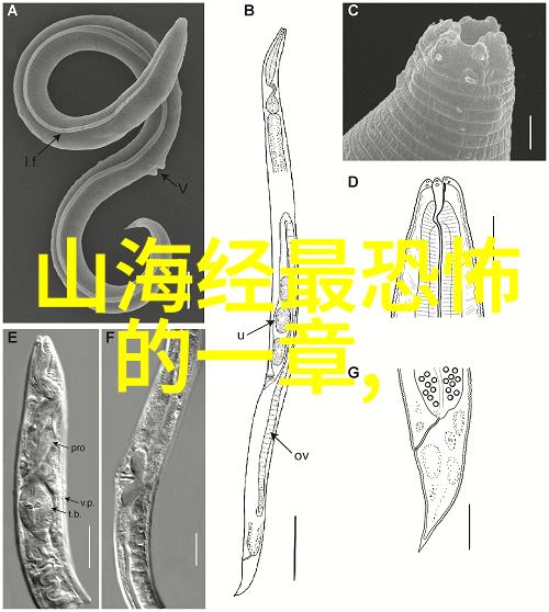 从明朝到清朝中国历史共经历了多个朝代的更迭张居正作为明朝的一位杰出的首辅其在政治经济文化等方面的贡献