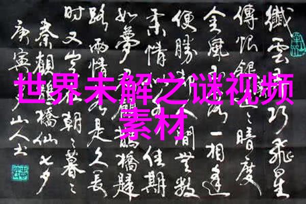 清朝穿越小说中的见皇帝不下跪之人反复探究其身份与故事