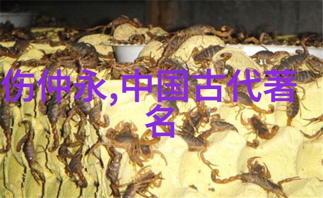 神话故事大全100个-穿越古代传说探秘神话故事大全的100个精彩篇章