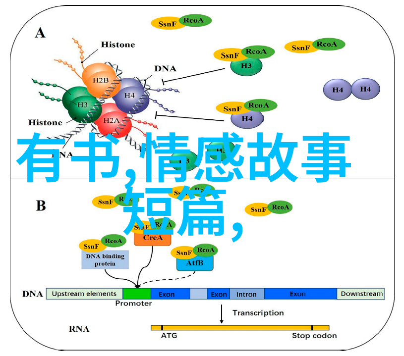 黄宗羲简介资料探索中国思想启蒙之父的智慧与自然哲学揭秘朱瞻基短命的奥秘