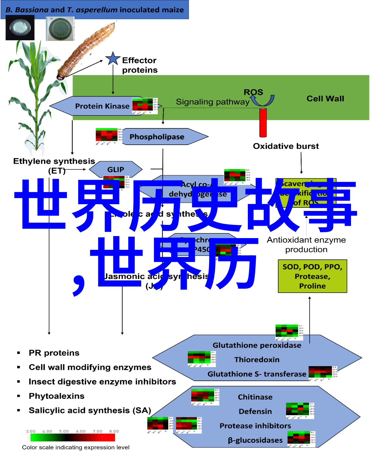 三年级必读历史故事我的古老朋友们的奇幻历险