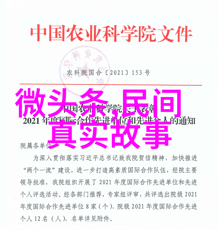 传统文化的故事我亲眼见证的那段古老民间传说