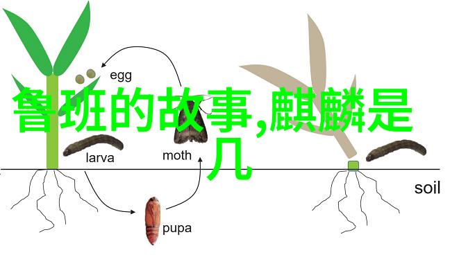 西游记中的孙悟空与玉皇大帝冲突的源自何处