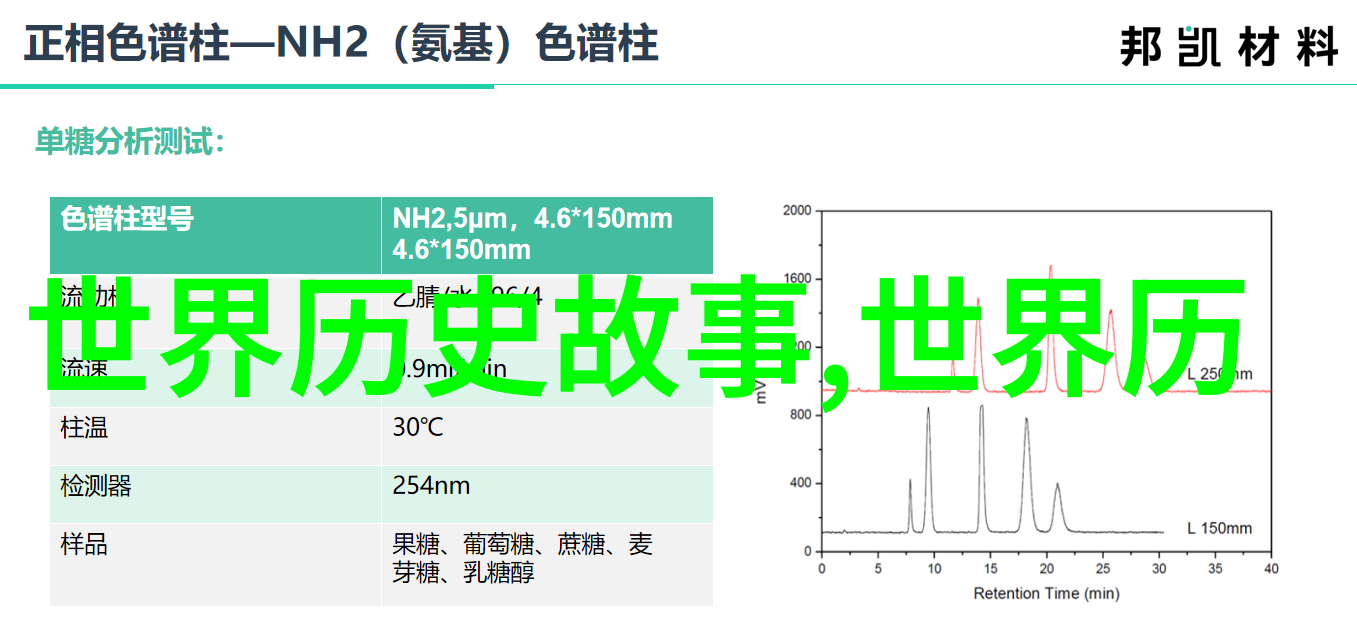 历史的面纱下他真的存在吗