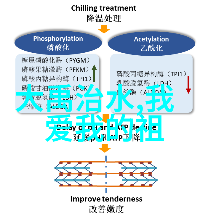 探索历史名人背后的故事四年级的启示是什么