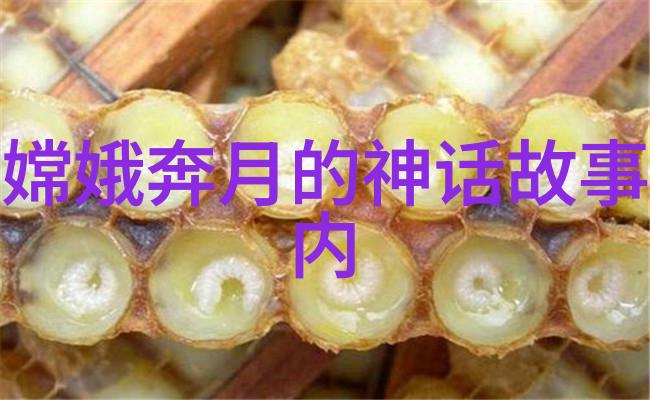 生活方式 - 40种做哪些事图片激发创意丰富生活