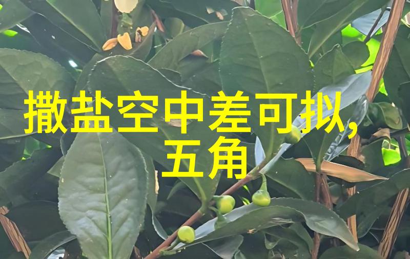 慈禧秘密生活探秘揭开后宫的真实面纱