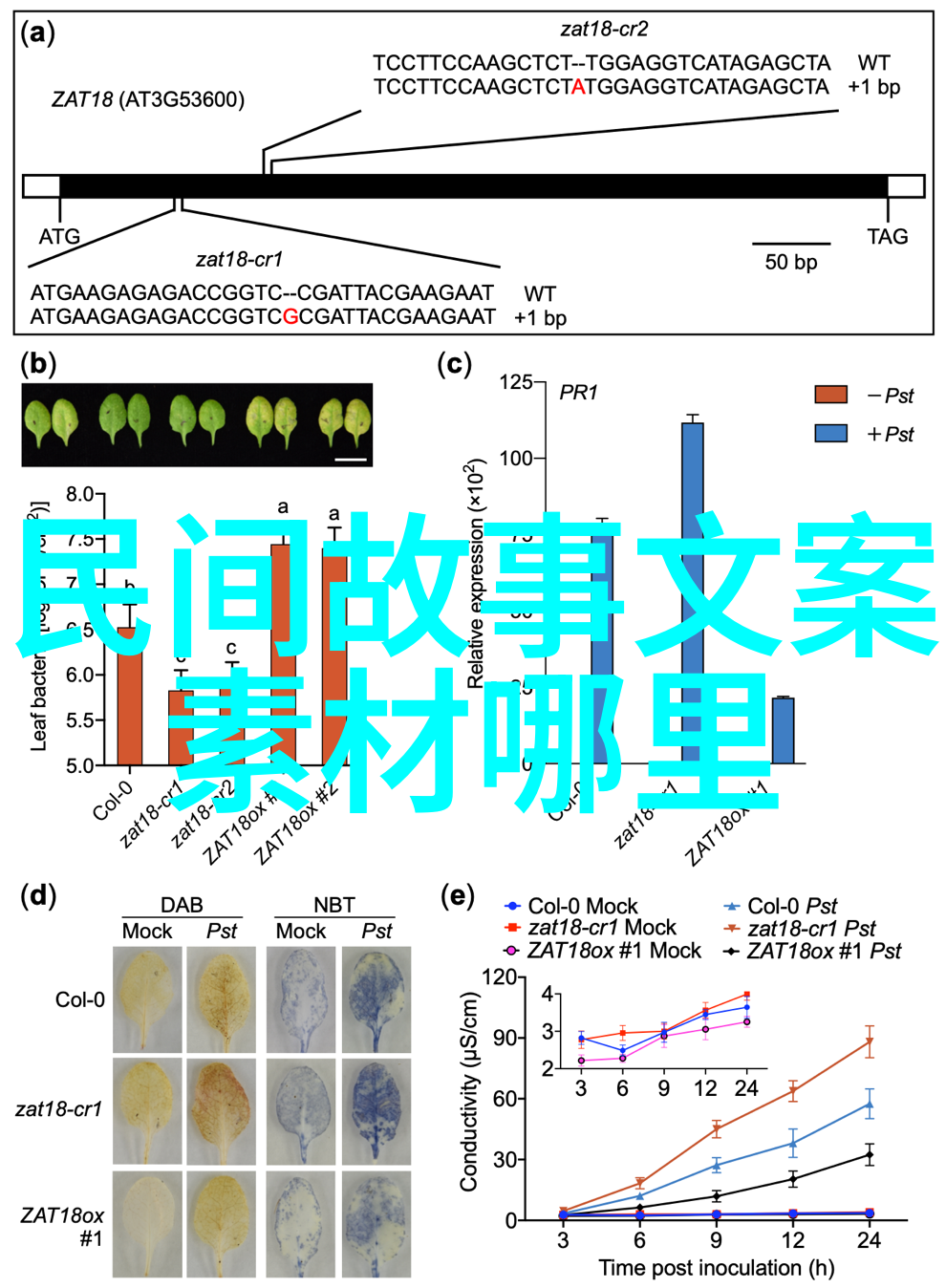 古今长河中华五千年的辉煌篇章