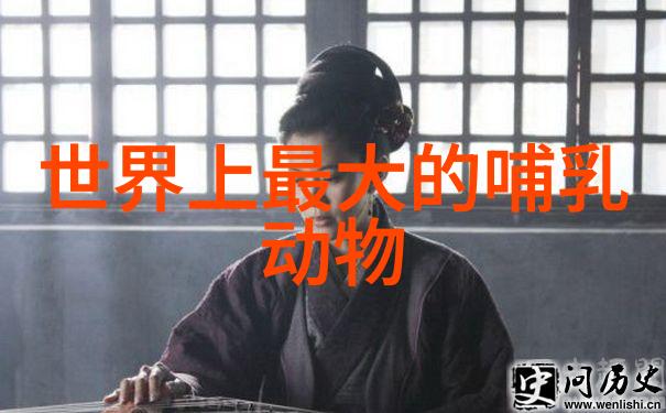 西汉末年曹操之争霸路