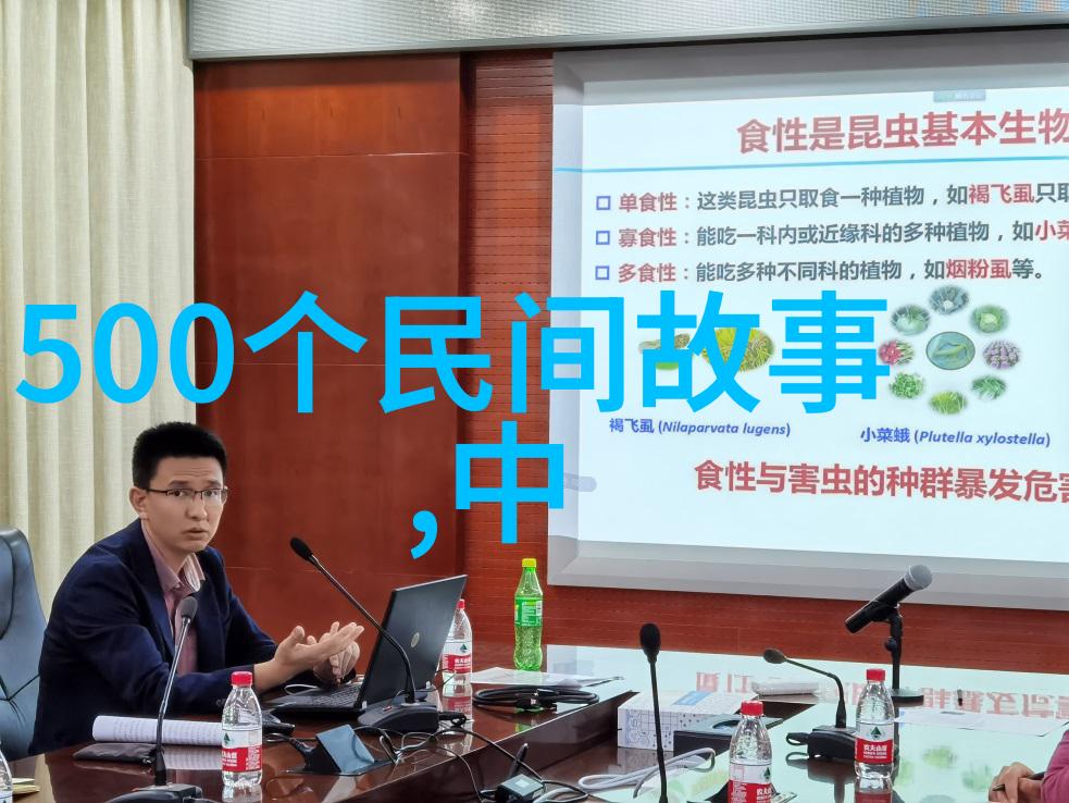 中国历史网追学网-探索古今中国历史网与追学网的共同征程