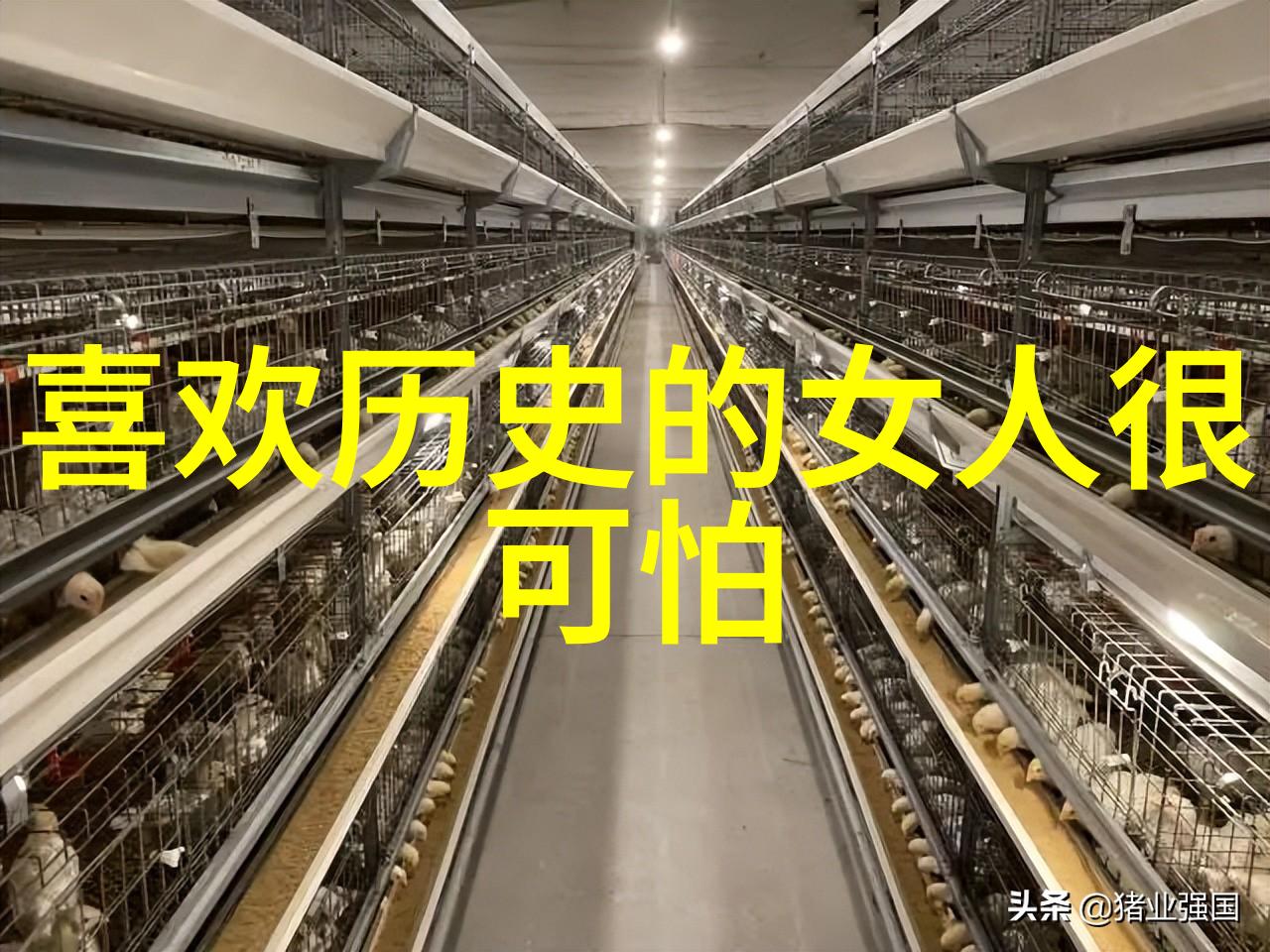 深渊中的呐喊解锁恐怖故事的黑暗秘密