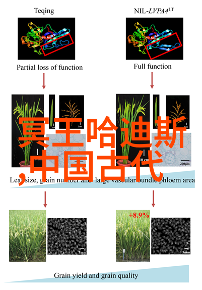 2021年天下奇闻奇迹般的故事和不可思议的事故