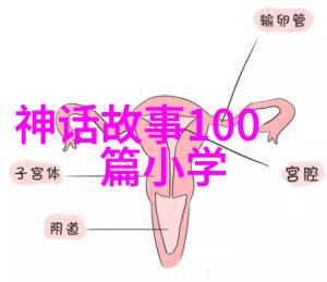 醉花阴小说全文免费阅读-梦回江南醉花阴的秘密