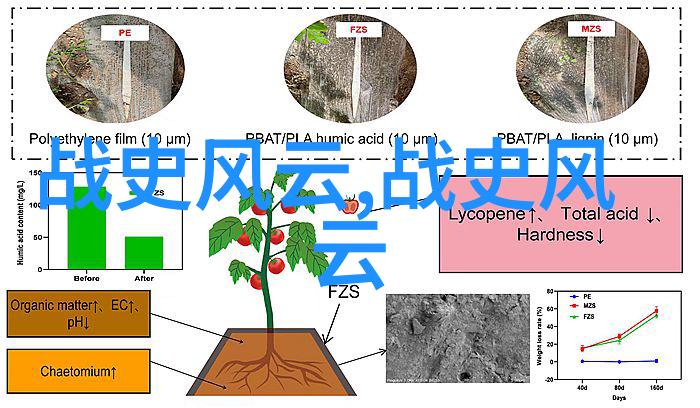 地底世界图鉴探索地下隧道与古代遗迹背后的故事