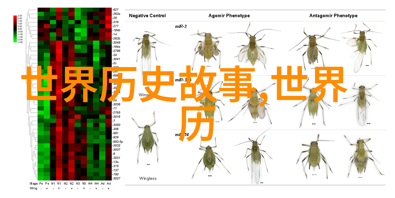 明朝那些事儿txt版免费下载笑料百出