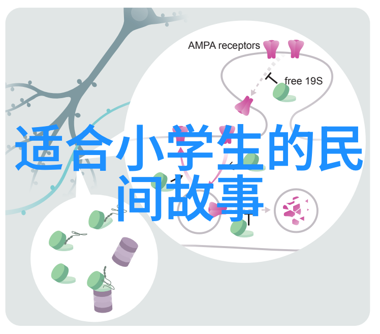 孔子和儒家思想在中国历史中的作用有多大