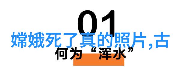 麻豆精产国品一二三产区全景概览