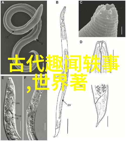 时间旅行者手记亲临场景体验50则经典中國傳說