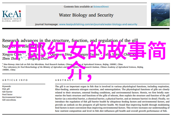 挽回txt-重燃爱火挽回关系的温柔文字艺术