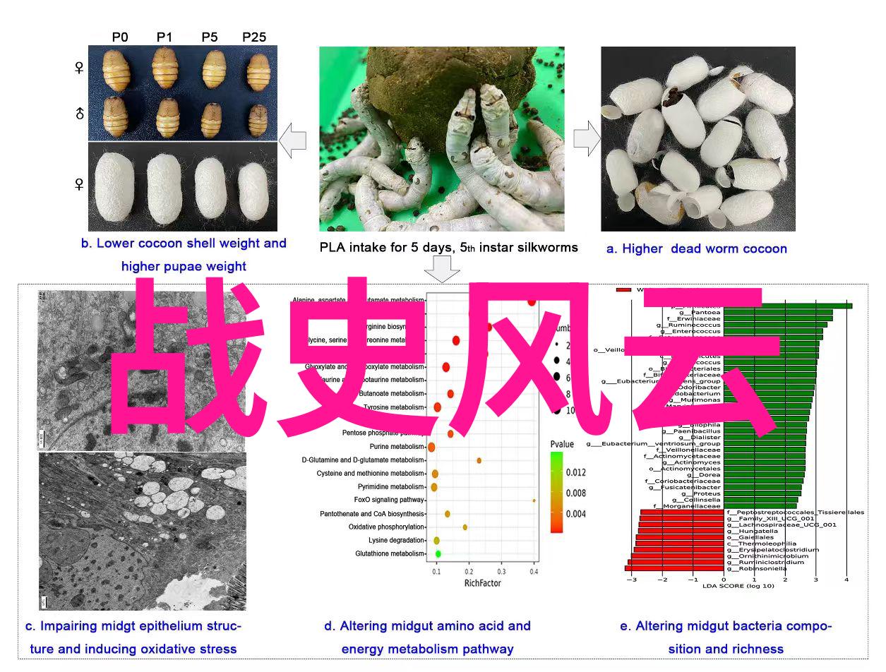 文学分析-甄嬛传原著里很黄的描写探究宫廷秘密与人心深处