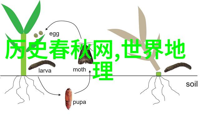 揭秘中国近代历史那些让人惊叹的趣事